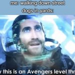 Barking intensifies | me: walking down street; dogs in yards: | image tagged in now this is an avengers level threat | made w/ Imgflip meme maker