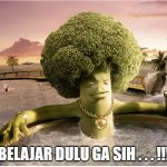 santai dulu gak sih brokoli brokoli | BELAJAR DULU GA SIH . . . !!! | image tagged in broccoli | made w/ Imgflip meme maker