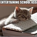 borrrriinnnggg | MOST ENTERTAINING SCHOOL ASSEMBLY | image tagged in bored keyboard cat | made w/ Imgflip meme maker