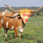 Pizza ranch | image tagged in longhorn cattle,pizza,ranch | made w/ Imgflip meme maker