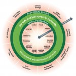 donut economics