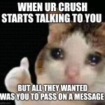 T^T | WHEN UR CRUSH STARTS TALKING TO YOU; BUT ALL THEY WANTED WAS YOU TO PASS ON A MESSAGE | image tagged in crying thumbs up,crush,when your crush,sad,talking | made w/ Imgflip meme maker