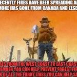 Help Smokey the Bear and his furry buddies | RECENTLY FIRES HAVE BEEN SPREADING ALL OVER. SMOKE HAS GONE FROM CANADA AND ELSE WHERE. FIRES FROM THE WEST COAST TO EAST COAST.  REMEMBER YOU CAN HELP PREVENT FOREST FIRES. THINK OF ALL THE FURRY LIVES YOU CAN HELP SAVE . | image tagged in smokey bear,forest fire,beautiful nature,life,wildlife,wildfires | made w/ Imgflip meme maker