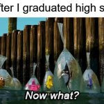 What am I doing with my life? | Me, after I graduated high school: | image tagged in now what,high school,graduation | made w/ Imgflip meme maker