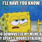 Ill Have You Know Spongebob 2 | I'LL HAVE YOU KNOW; YOU DOWNVOTED MY MEME AND I ONLY SPENT 5 HOURS STALKING YOU | image tagged in ill have you know spongebob 2 | made w/ Imgflip meme maker