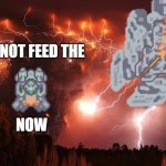 Do not feed the oxynoe | DO NOT FEED THE; NOW | image tagged in low tier omura | made w/ Imgflip meme maker