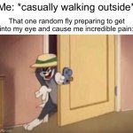 What a beautiful da- AAGH MY EYE | Me: *casually walking outside*; That one random fly preparing to get into my eye and cause me incredible pain: | image tagged in tom cat evil,memes,evil,fly,funny,relatable | made w/ Imgflip meme maker