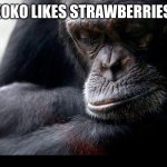 Koko | KOKO LIKES STRAWBERRIES. | image tagged in koko | made w/ Imgflip meme maker