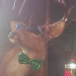 Deer with Sunglasses