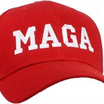 FUNNY HAT