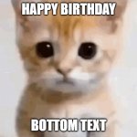 El gato | HAPPY BIRTHDAY; BOTTOM TEXT | image tagged in el gato | made w/ Imgflip meme maker