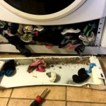The washer ate the socks