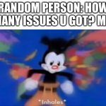 Title | RANDOM PERSON: HOW MANY ISSUES U GOT? ME: | image tagged in yakko inhale | made w/ Imgflip meme maker