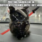 Doktor, Turn Off My Cute Inhibitors! | POSTING RAIDEN CAT IN DIFFERENT STREAMS UNTIL I HIT 140K | image tagged in raiden cat | made w/ Imgflip meme maker