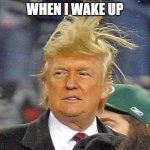 so true | POV: MY HAIR WHEN I WAKE UP | image tagged in donald trumph hair,relatable,funny,memes,real life | made w/ Imgflip meme maker
