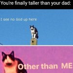 I'm finally taller than him | POV:
You're finally taller than your dad: | image tagged in hail pole cat,memes,dad,tall,goals,tallest in the family | made w/ Imgflip meme maker