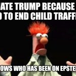 Bluberman | I HATE TRUMP BECAUSE HE VOWED TO END CHILD TRAFFICKING; AND HE KNOWS WHO HAS BEEN ON EPSTEIN FLIGHTS | image tagged in beeker panic | made w/ Imgflip meme maker