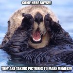 Filterless Otter | COME HERE BOYS!!! THEY ARE TAKING PICTURES TO MAKE MEMES!!! | image tagged in filterless otter | made w/ Imgflip meme maker
