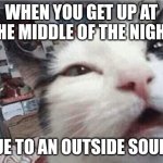 When you get up at the middle of the night Due to an outside sound | WHEN YOU GET UP AT THE MIDDLE OF THE NIGHT; DUE TO AN OUTSIDE SOUND | image tagged in cat waking up | made w/ Imgflip meme maker