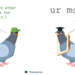 Good answer... | ur mom; hot? | image tagged in what are other words for,memes,thesaurus,pigeon,pigeons,your mom | made w/ Imgflip meme maker