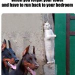 O-O | When you forgot your towel and have to run back to your bedroom | image tagged in hidden cat | made w/ Imgflip meme maker