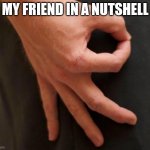 You saw it | MY FRIEND IN A NUTSHELL | image tagged in gottem hand | made w/ Imgflip meme maker