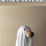 ghost doge | ME DRESSED UP AS A DEMON ON MY WAY TO SCARE THE F*CK OUT OF MY SIBLINGS: | image tagged in ghost doge | made w/ Imgflip meme maker