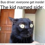 Someone about to get some.... | Bus driver: everyone get inside! The kid named side: | image tagged in scared cat,bus driver,kids,inside,funny,scared kid | made w/ Imgflip meme maker