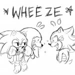 knuckles and shadow wheeze