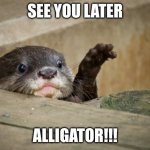 I need dis otter | SEE YOU LATER; ALLIGATOR!!! | image tagged in i need dis otter | made w/ Imgflip meme maker