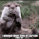 Otter - Interesting | I WONDER WHAT KIND OF CAPTION; I WILL GET | image tagged in otter - interesting | made w/ Imgflip meme maker