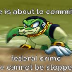 vector federal crime