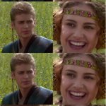 Anakin padme 8 panel