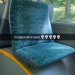weird bus seat