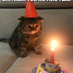 I'm gonna sleep all day and do nothing to celebrate it | YAY ANOTHER LONELY BIRTHDAY FOR ME THIS YEAR | image tagged in sad birthday cat,birthday | made w/ Imgflip meme maker