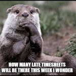 Timesheets | HOW MANY LATE TIMESHEETS WILL BE THERE THIS WEEK I WONDER | image tagged in otter - interesting | made w/ Imgflip meme maker