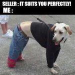 How do i look ? | SELLER : IT SUITS YOU PERFECTLY! ME : | image tagged in dog with clothes | made w/ Imgflip meme maker