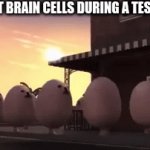 im completely f ed | MY LAST BRAIN CELLS DURING A TEST BE LIKE | image tagged in gifs,egg dog,test | made w/ Imgflip video-to-gif maker