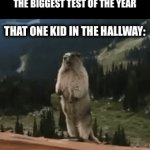 Some of the kids make it sound like they’re being slaughtered | MY ADVANCED MATH CLASS TAKING THE BIGGEST TEST OF THE YEAR; THAT ONE KID IN THE HALLWAY: | image tagged in gifs,funny,front page plz | made w/ Imgflip video-to-gif maker