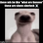 bruh | these mfs be like "what are thoseee"
those are shoes sherlock ☠ | image tagged in gifs,misunderstanding,get real,dog | made w/ Imgflip video-to-gif maker