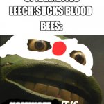 KAMIKAZE IT IS | SPIDER:BITES; LEECH:SUCKS BLOOD; BEES:; KAMIKAZE | image tagged in cowabunga it is,kamikaze,bees | made w/ Imgflip meme maker