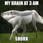shork | MY BRAIN AT 3 AM; SHORK | image tagged in shork | made w/ Imgflip meme maker