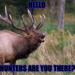 Screaming elk | HELLO; HUNTERS ARE YOU THERE? | image tagged in screaming elk | made w/ Imgflip meme maker