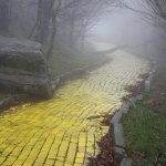 Follow the Yellow Brick Road to the Abandoned Land of Oz