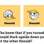 donald duck, donald trump
