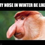 i hate winter | MY NOSE IN WINTER BE LIKE : | image tagged in big nose monkey | made w/ Imgflip meme maker