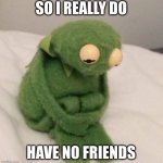 :( | SO I REALLY DO; HAVE NO FRIENDS | image tagged in sad kermit | made w/ Imgflip meme maker