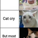 He tried his best | Cat fly; Cat cry; But most importantly, cat try | image tagged in blank comic panel 2x3,memes,cats | made w/ Imgflip meme maker