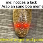 where are the arabian sand boa memes | me: notices a lack of Arabian sand boa memes; (internal anger and panic) | image tagged in arabian sand boa | made w/ Imgflip meme maker