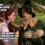 wizard of Oz scarecrow Dorothy | DON’T WORRY MY STUPID LITTLE BITCH; JUST DO WHAT I SAY AND PRETEND YOUR NOT A LITTLE BITCH | image tagged in wizard of oz scarecrow dorothy | made w/ Imgflip meme maker